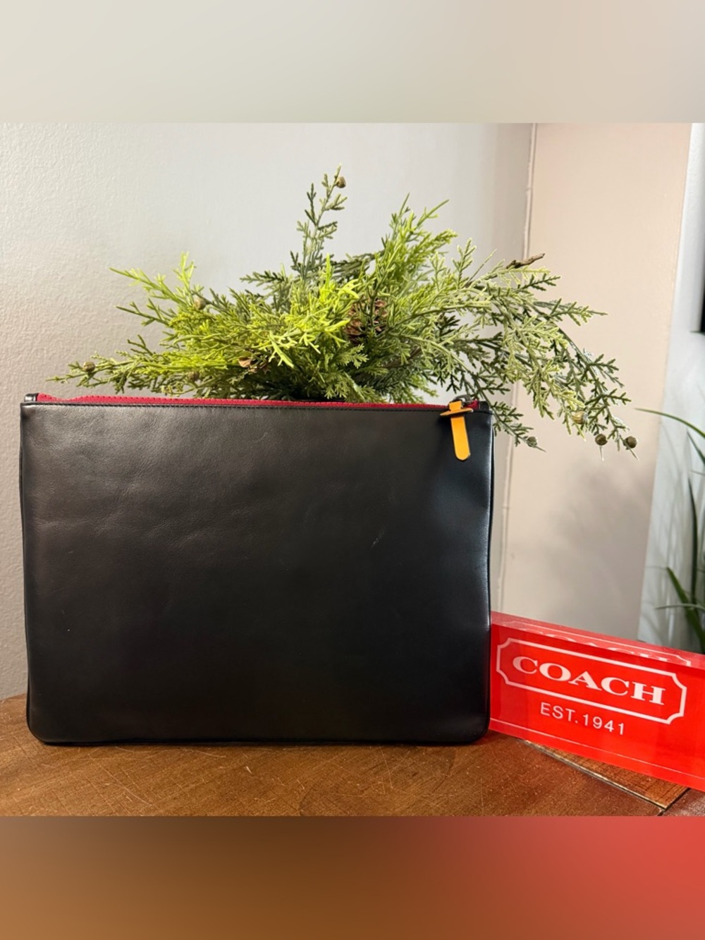 Coach Rainbow Horse and Carriage Large Pouch (NWT) - Picture 2 of 11